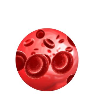 <strong>Susținerea circulației</strong>